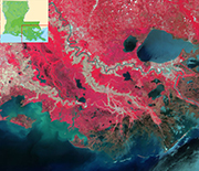 Aerial view of the Mississippi Delta.